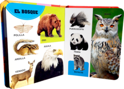 100 Palabras Los Animales - Imagen 2