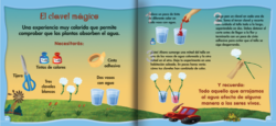 Aguacuentos Al agua sapo - Imagen 2