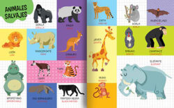 Pequeños exploradores Animales - Imagen 2