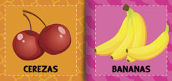 Mimitos Frutas - Imagen 2