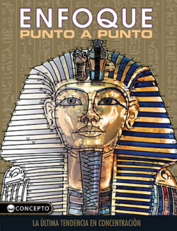 Punto a Punto Enfoque