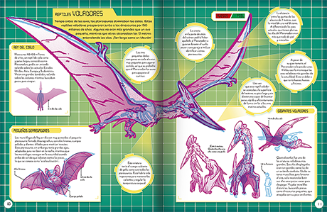 Visión X Exploro a los dinosaurios - Imagen 2