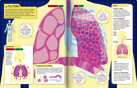 Visión X Exploro el cuerpo humano - Imagen 2