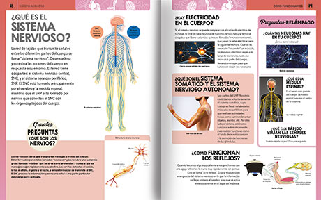 Curiosamente El Cuerpo Humano - Imagen 2