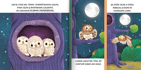 Historias de la naturaleza Pequeña lechuza - Imagen 2