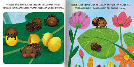 Historias de la naturaleza Pequeña mariquita - Imagen 2