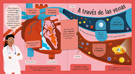 ¡Misión Aventura! Cuerpo humano - Imagen 2